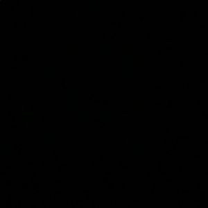 Meet your Posher, Lakevia